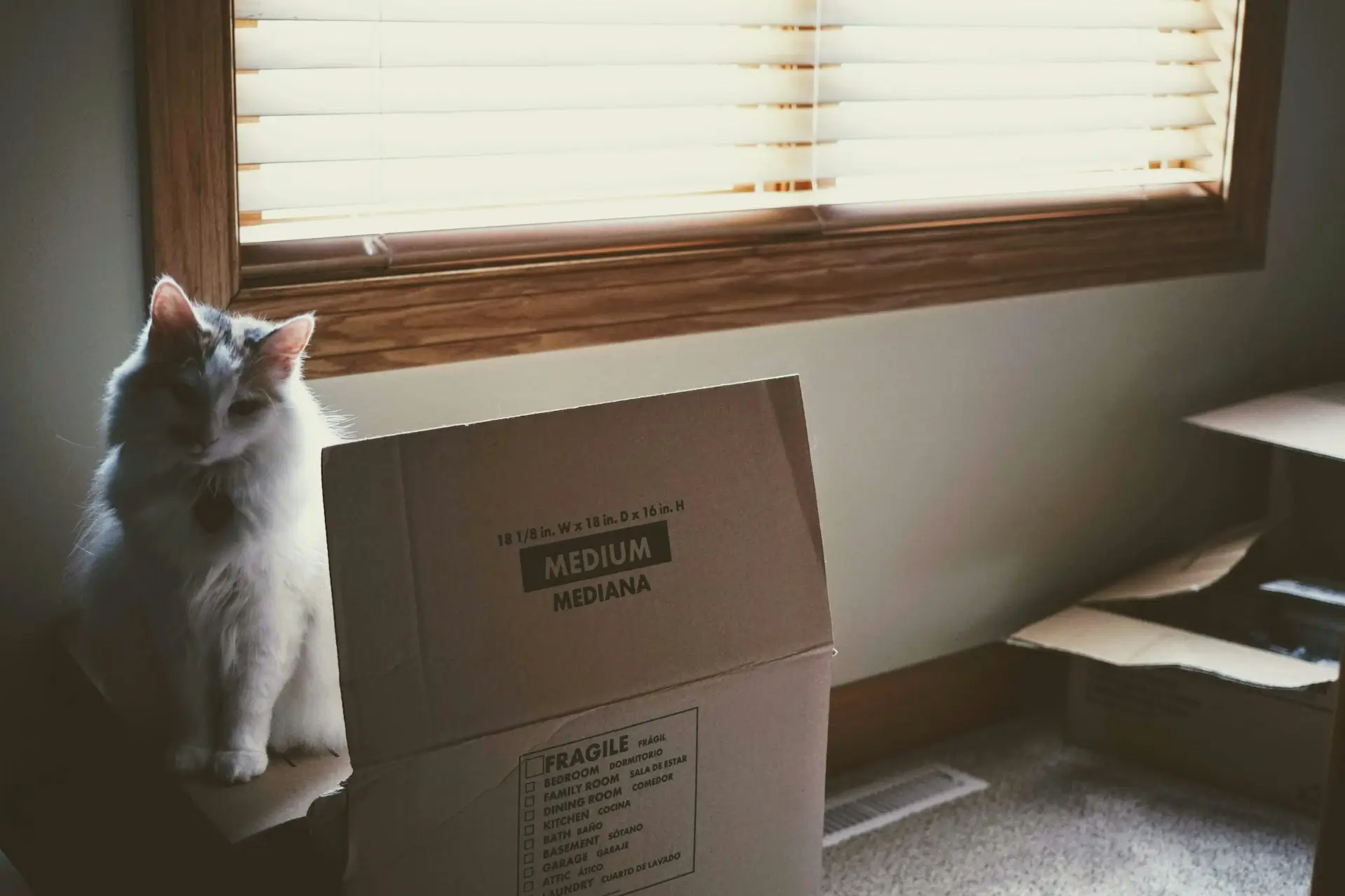 Choose a workable moving date in Saint-Lazare